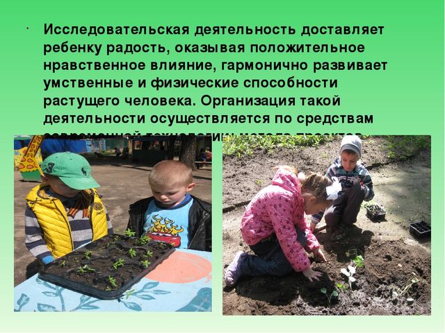 Презентация "Использование проектно-исследовательской деятельности в познавательном развитии дошкольников"