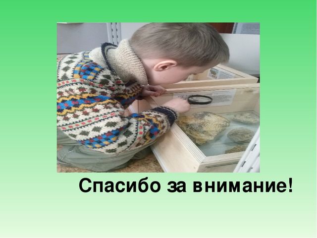 Презентация "Использование проектно-исследовательской деятельности в познавательном развитии дошкольников"