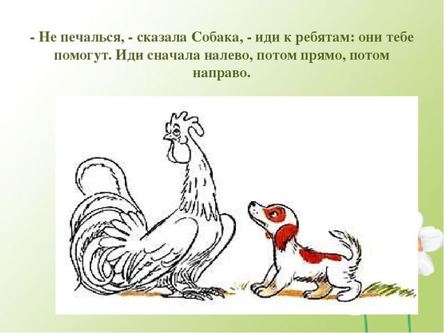 Презентация к конспекту занятия по сюжету сказки В. Сутеева “Петух и краски“