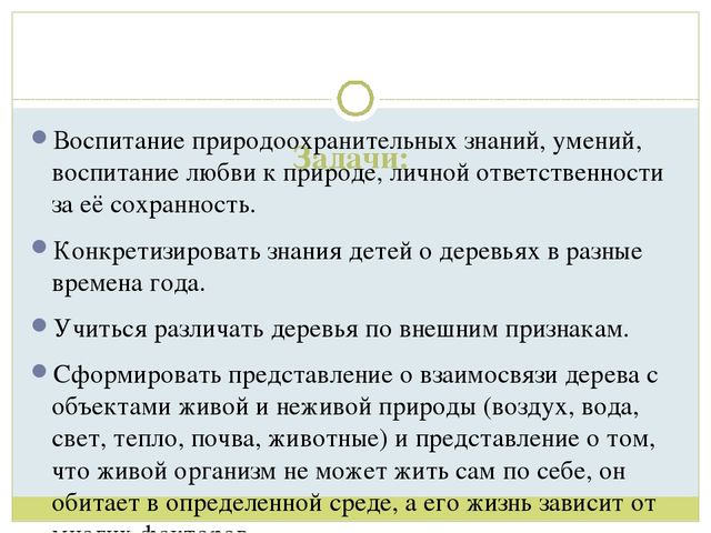 Презентация для детей старшей группы"Экологическая тропа "Деревья"