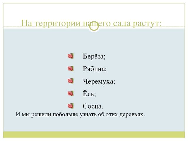 Презентация для детей старшей группы"Экологическая тропа "Деревья"