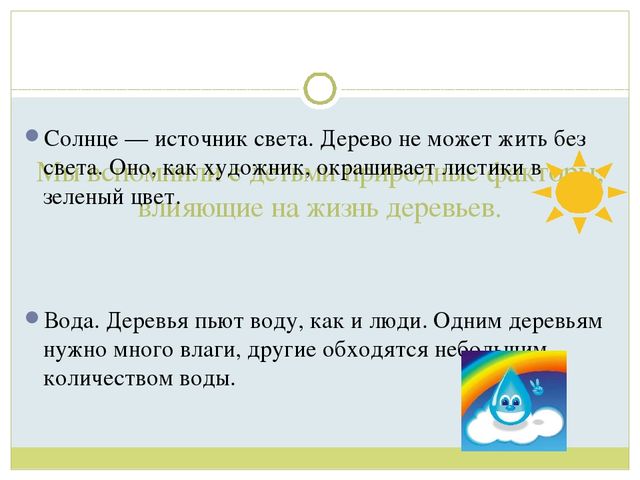 Презентация для детей старшей группы"Экологическая тропа "Деревья"
