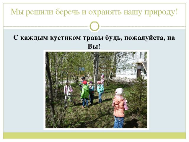 Презентация для детей старшей группы"Экологическая тропа "Деревья"