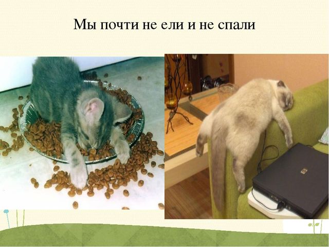 Презентация журнала "Шаг за шагом"
