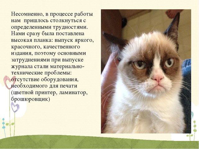 Презентация журнала "Шаг за шагом"