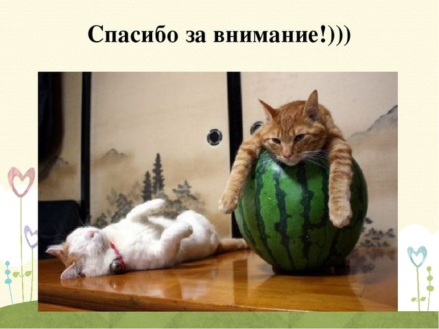 Презентация журнала "Шаг за шагом"