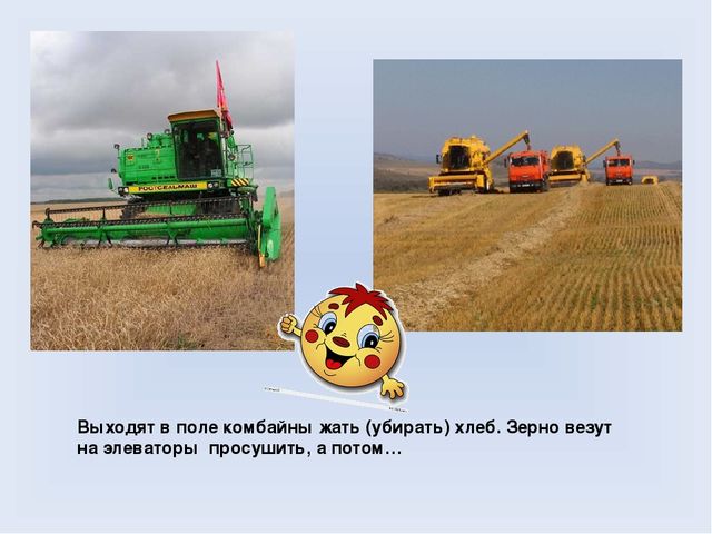 Презентация для дошкольников на тему "Хлеб Всему голова"