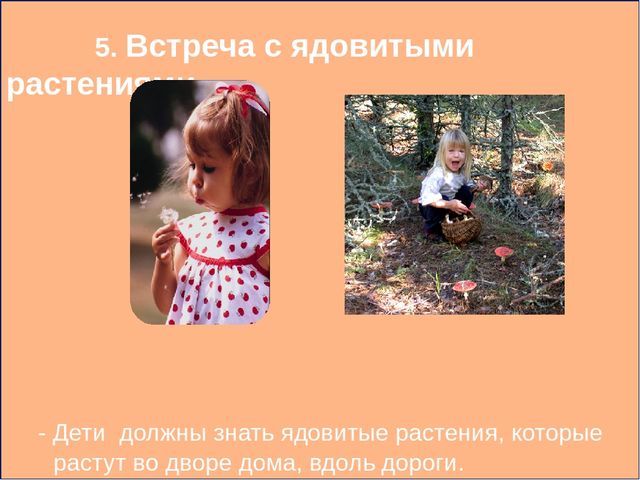 Презентация родительское собрание "Безопасность детей"