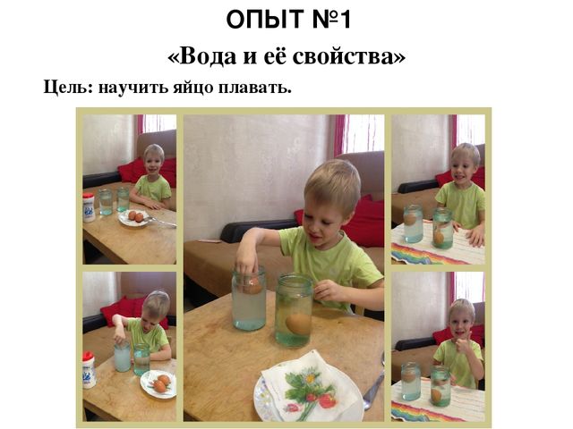 Презентация « Семейная лаборатория», как форма развития познавательно – исследовательской деятельности дошкольников.