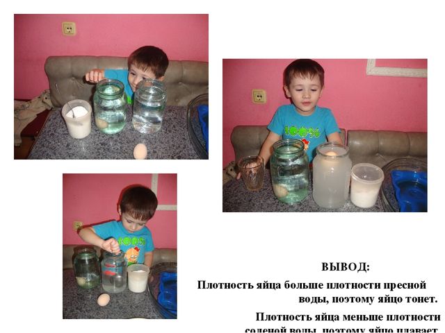 Презентация « Семейная лаборатория», как форма развития познавательно – исследовательской деятельности дошкольников.