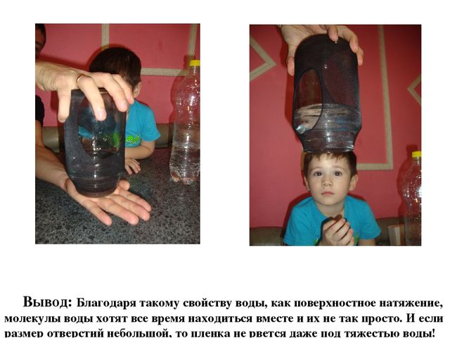 Презентация « Семейная лаборатория», как форма развития познавательно – исследовательской деятельности дошкольников.