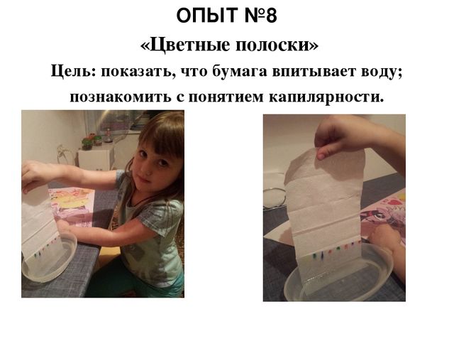Презентация « Семейная лаборатория», как форма развития познавательно – исследовательской деятельности дошкольников.