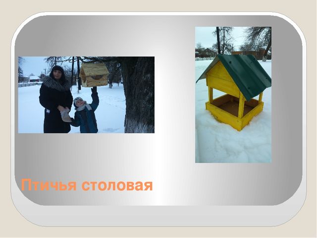 Фото-презентация "Прилетайте в гости к нам"