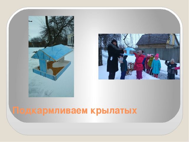 Фото-презентация "Прилетайте в гости к нам"