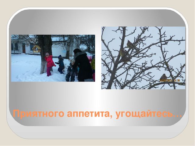 Фото-презентация "Прилетайте в гости к нам"