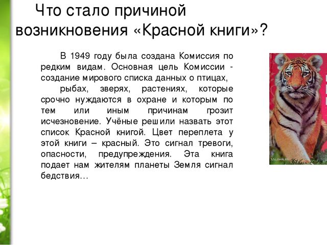 Проект «Животные нашей полосы занесенные в красную книгу»