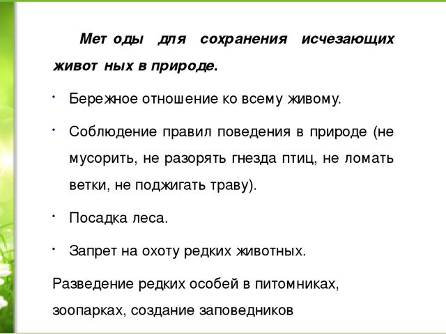 Проект «Животные нашей полосы занесенные в красную книгу»