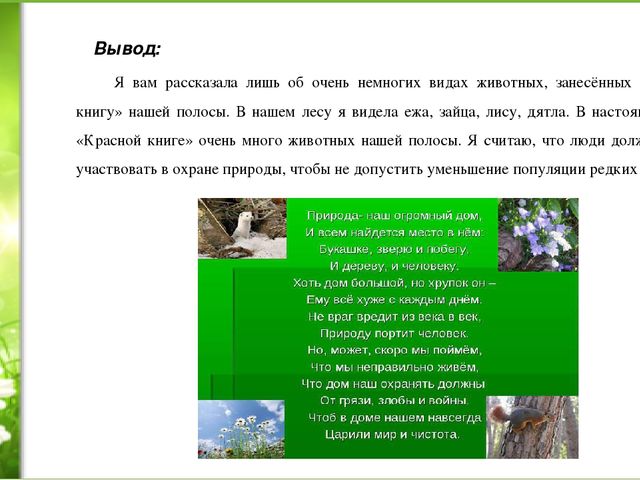 Проект «Животные нашей полосы занесенные в красную книгу»