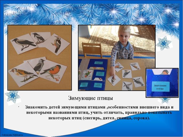 Лэпбук по познавательному развитию "Зима"