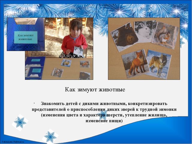 Лэпбук по познавательному развитию "Зима"