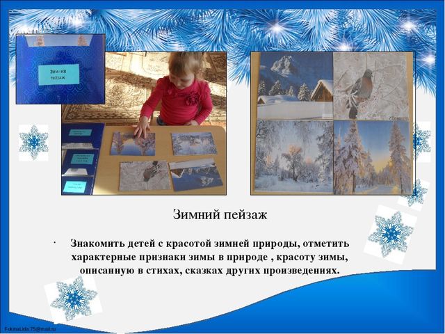 Лэпбук по познавательному развитию "Зима"