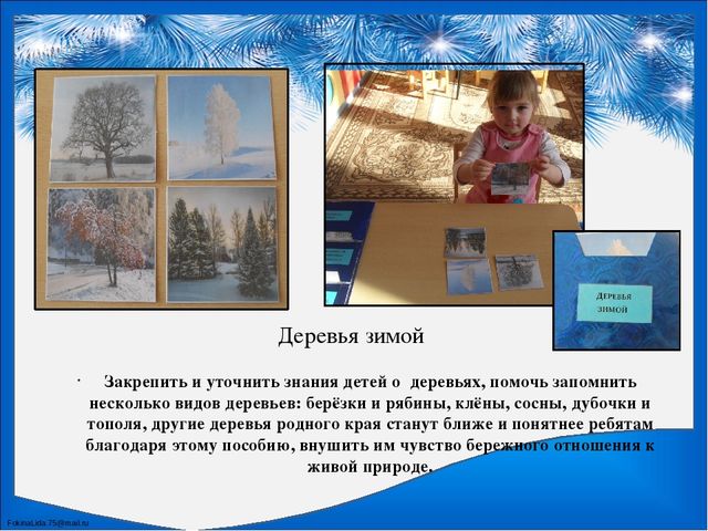 Лэпбук по познавательному развитию "Зима"