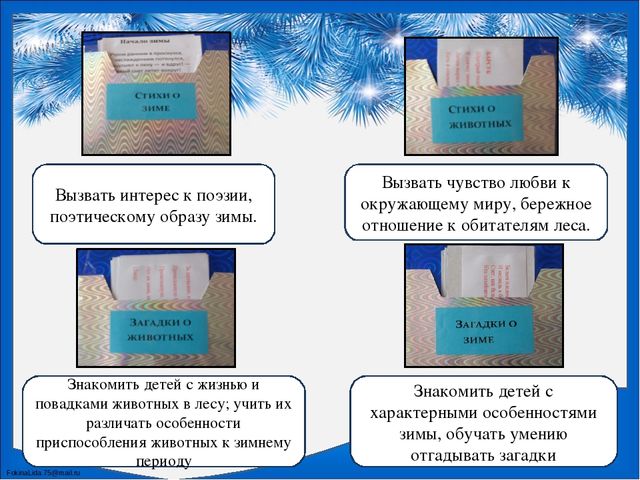 Лэпбук по познавательному развитию "Зима"