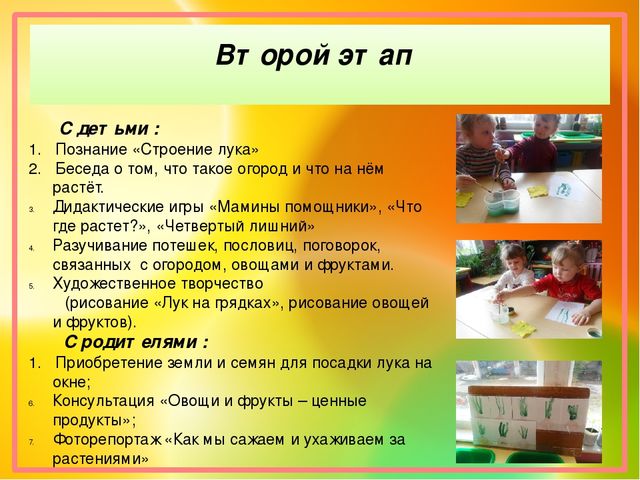 Проект по познавательному развитию "Огород на окне"