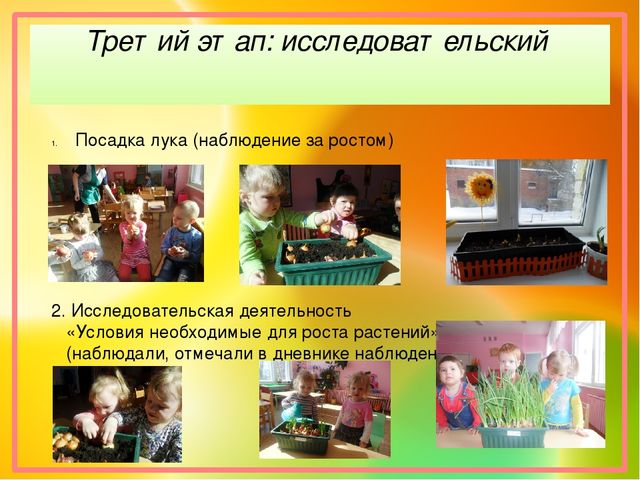 Проект по познавательному развитию "Огород на окне"