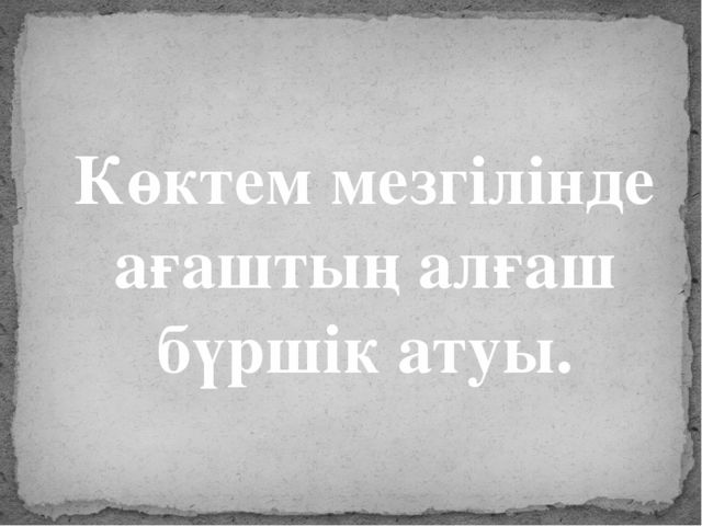 Проект "Көктем мезгілінде ағаштың бүршік атуы "