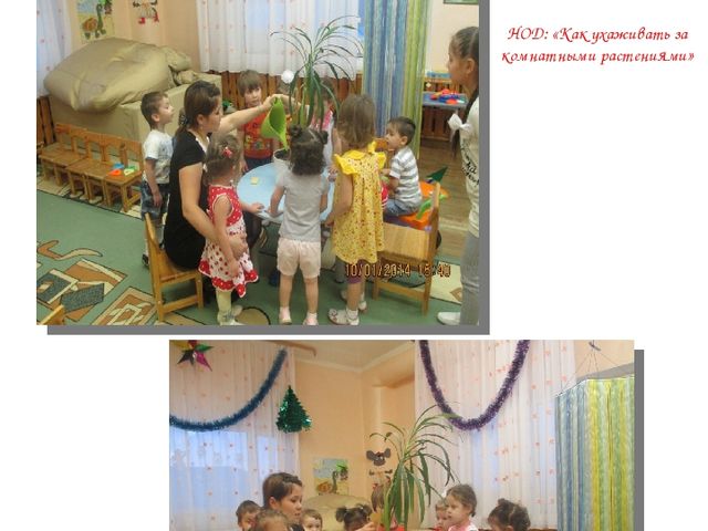 Альманах для родителей "Экологические проекты"