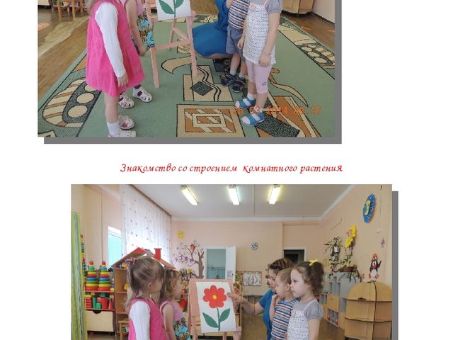 Альманах для родителей "Экологические проекты"