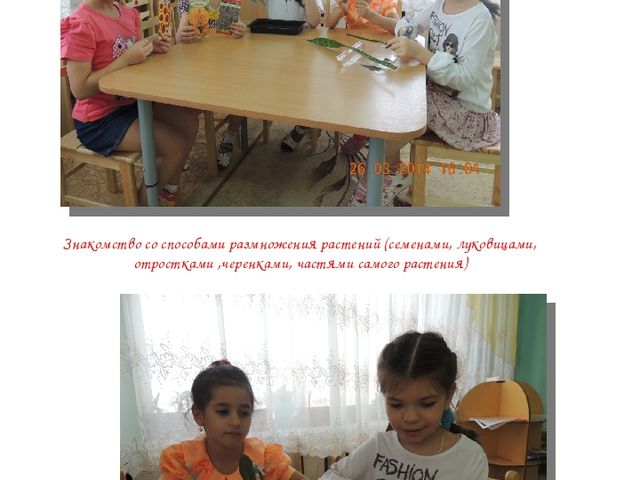 Альманах для родителей "Экологические проекты"