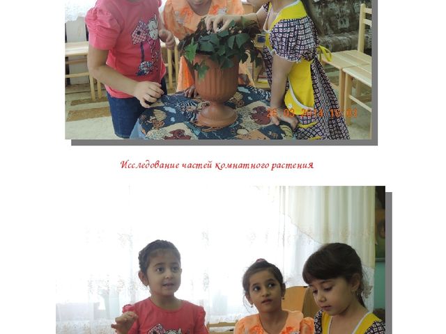 Альманах для родителей "Экологические проекты"