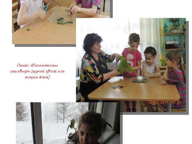 Альманах для родителей "Экологические проекты"