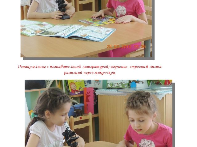 Альманах для родителей "Экологические проекты"