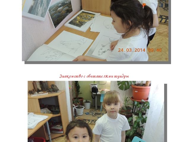 Альманах для родителей "Экологические проекты"