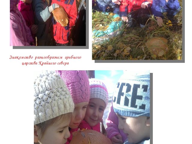 Альманах для родителей "Экологические проекты"