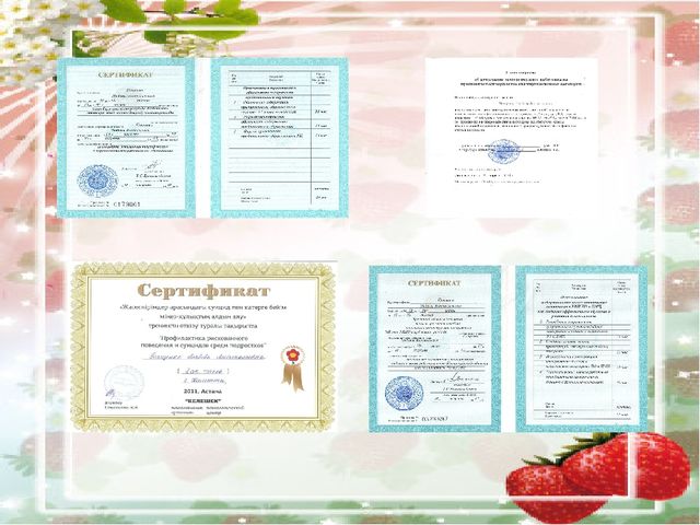 Презентация на тему "Портфолио воспитателя детского сада"