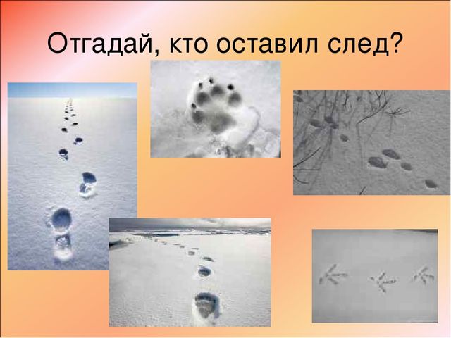 Презентация "Речь и интеграция"