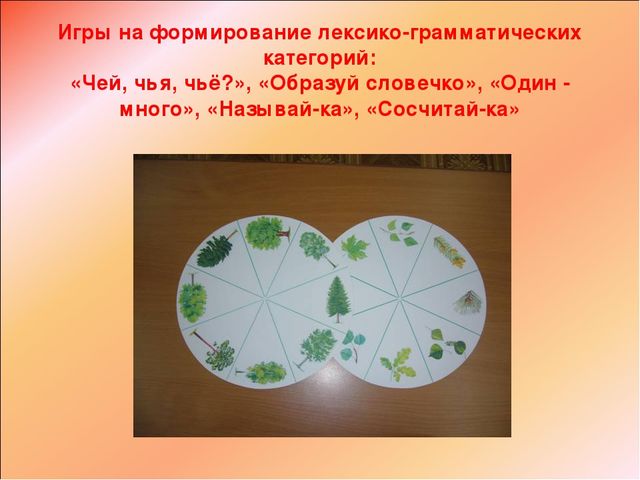 Презентация "Речь и интеграция"