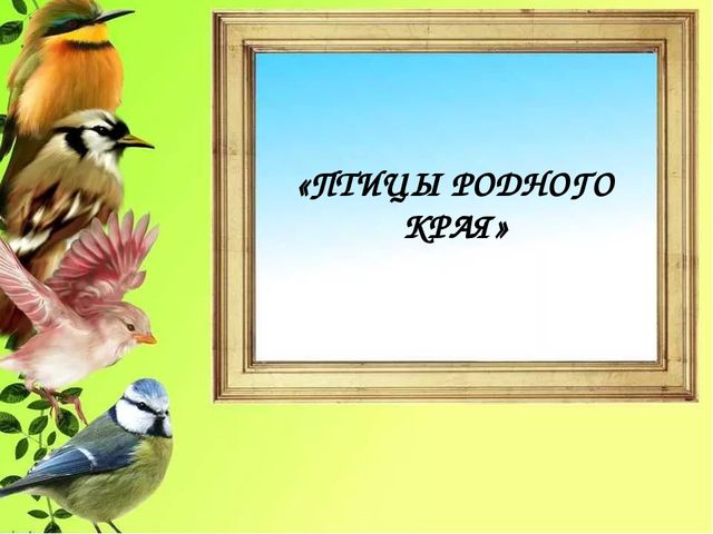 Презентация "Птицы родного края"