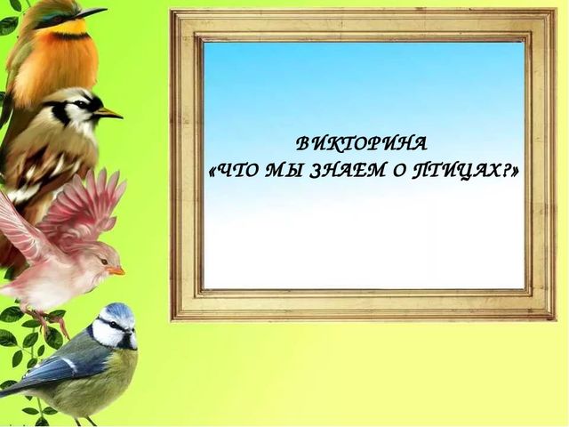 Презентация "Птицы родного края"