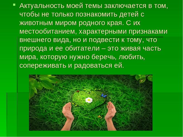 Презентация по "Экологическому воспитанию"