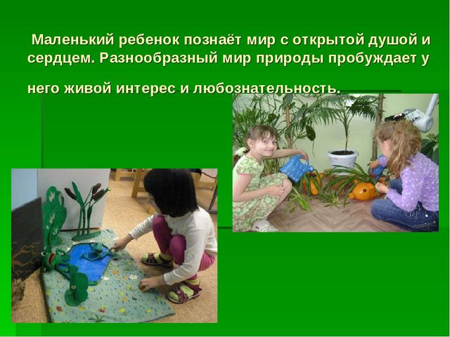Презентация по "Экологическому воспитанию"