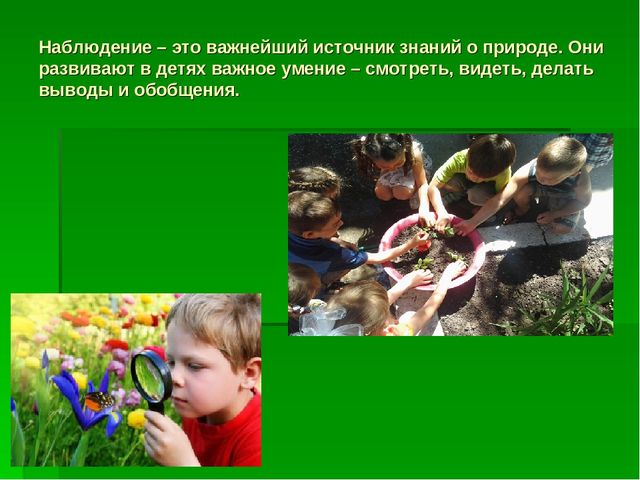 Презентация по "Экологическому воспитанию"