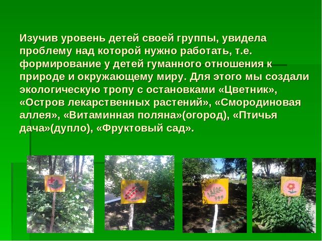 Презентация по "Экологическому воспитанию"