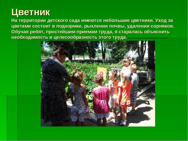 Презентация по "Экологическому воспитанию"
