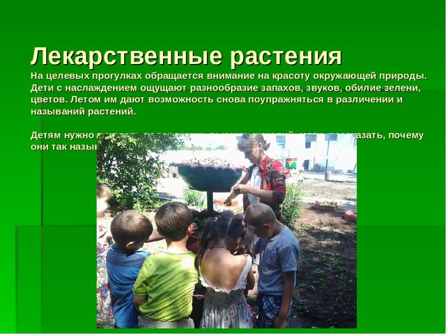 Презентация по "Экологическому воспитанию"