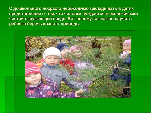 Презентация по "Экологическому воспитанию"